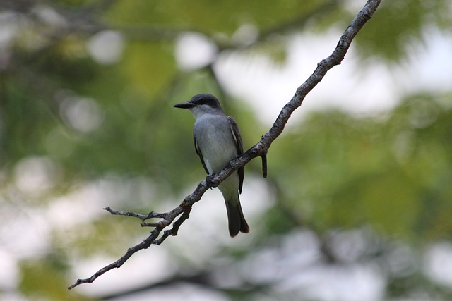 到重视