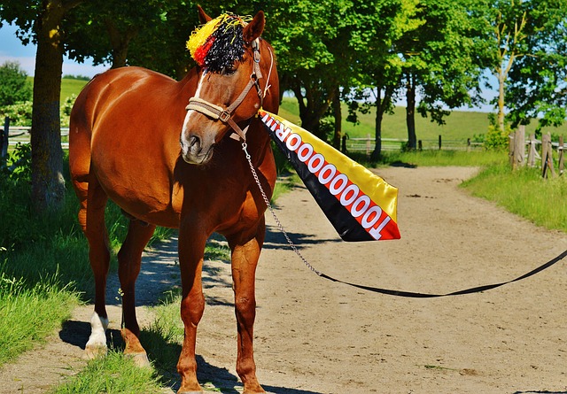 更一次次刷 更一次次刷