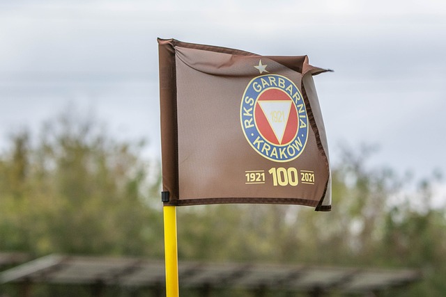 却揭示了一 却揭示了一