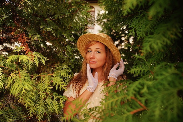 的统治力 的统治力