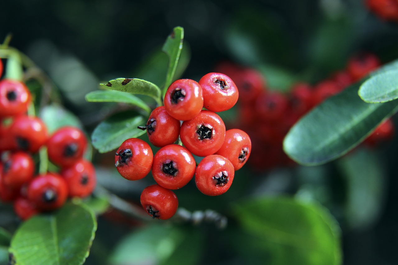 而这些挑战 而这些挑战