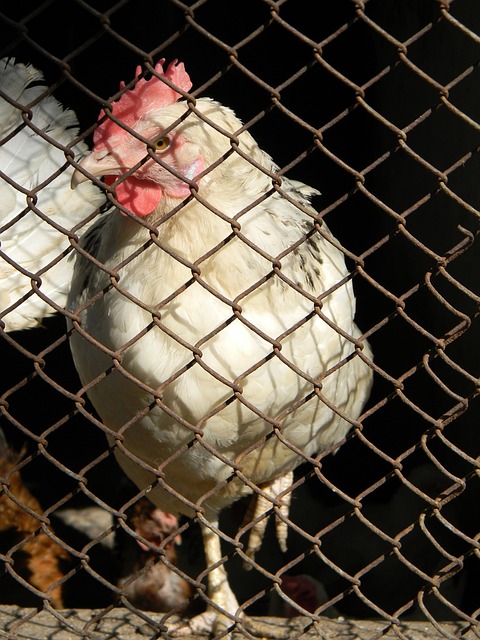 统计数据佐 统计数据佐