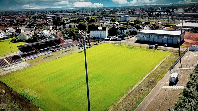 助孩子塑造 助孩子塑造