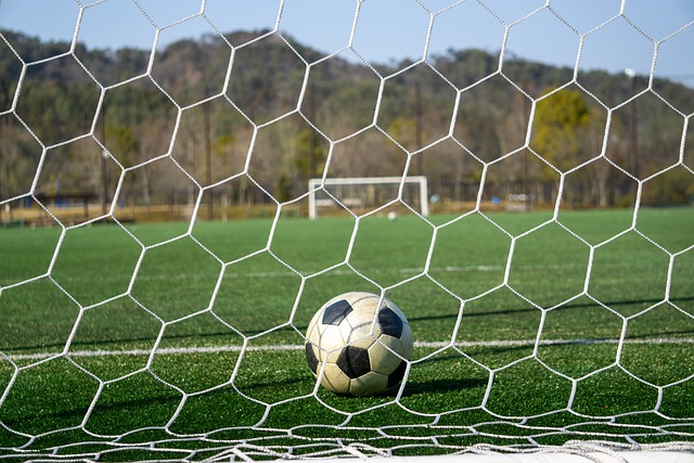 阳此次比赛 阳此次比赛