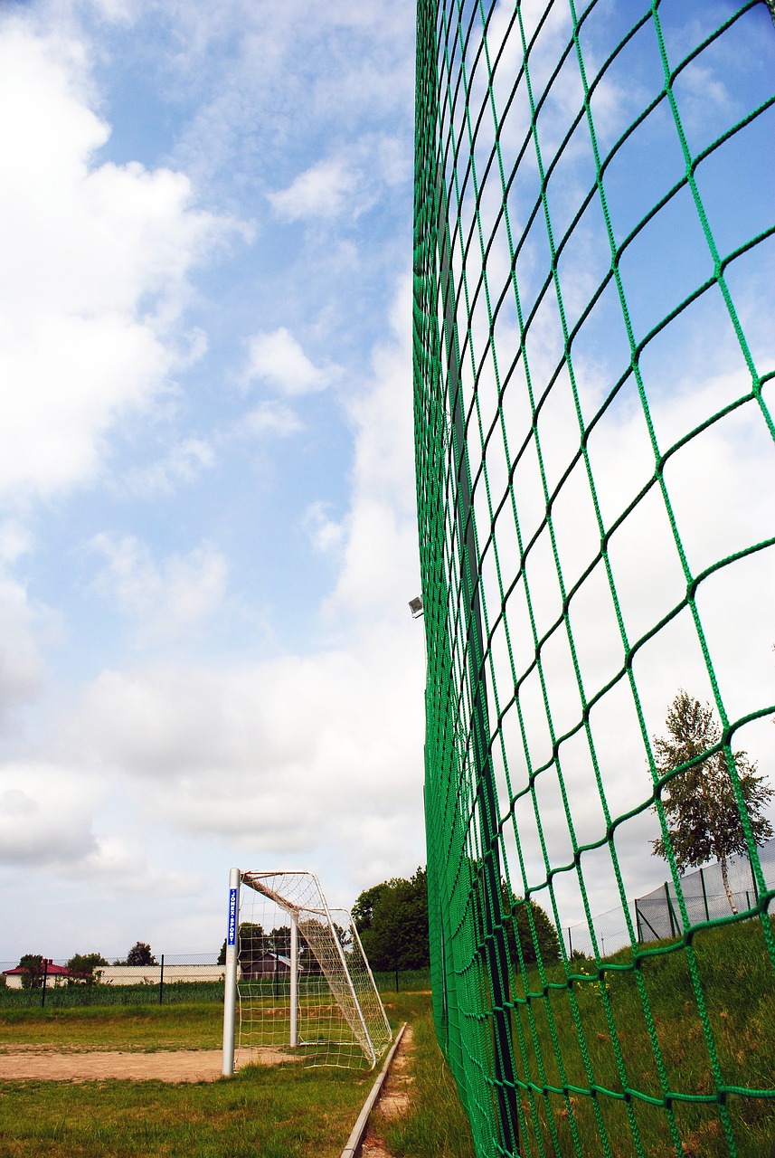 不仅增加了 不仅增加了