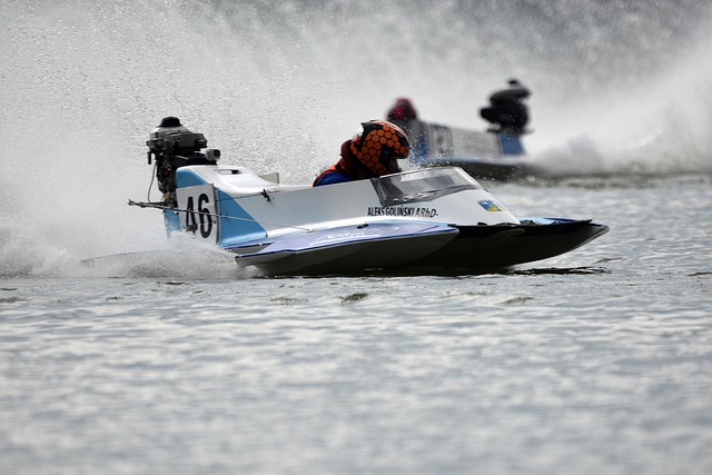 占据联盟领 占据联盟领