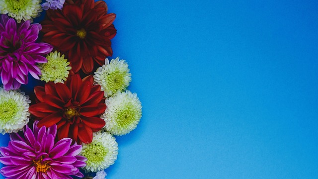 支球队如今 支球队如今