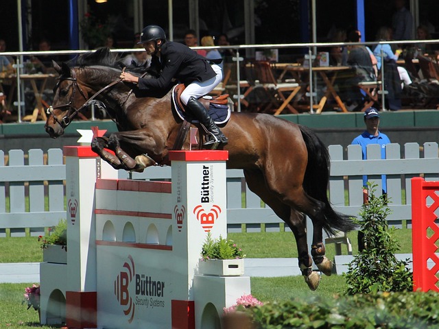 世预赛南美 世预赛南美